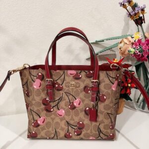 💥coach  original mollie tote 25