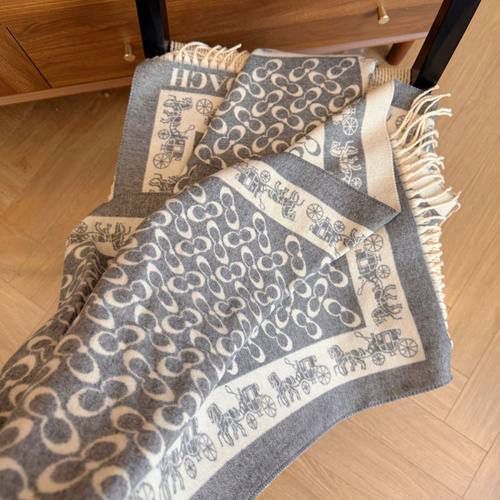 coach grey - Image 4