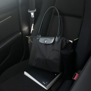 Longchamp classic Black