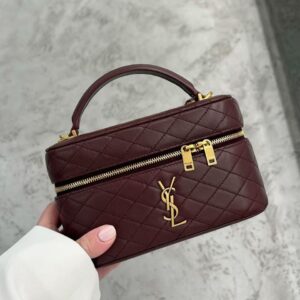 Saint Laurent Gaby Vanity Bag Nbety