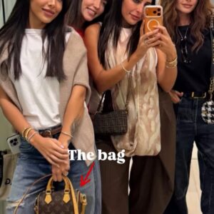 L V speedy nano size