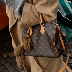 Louis Vuitton Speed 25